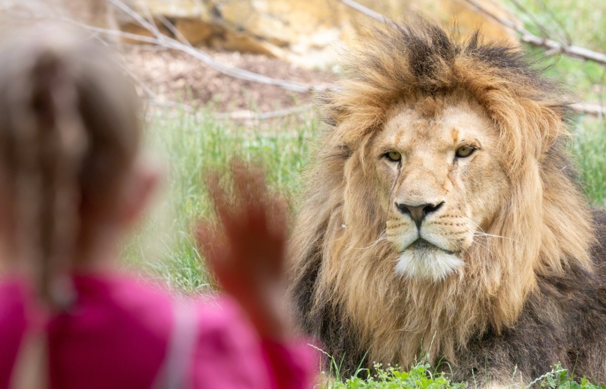 Zoo Tierpark.jpg