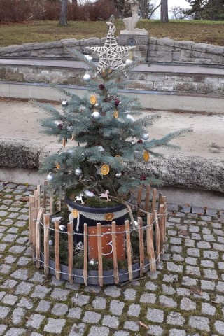 In Erfurt gibt es auch in diesem Jahr wieder Adventsbeete. Hast du schon eins entdeckt?