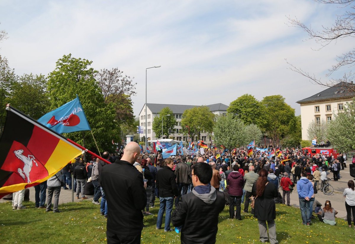 afd-demo-erfurt-1-mai