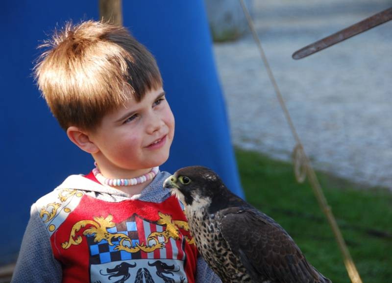 Ein Junge mit einem dressierten Falken.