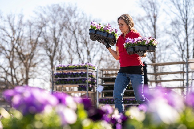 Für den Frühling und die anstehende Bundesgartenschau fangen nun die Vorbereitungen an. Pflanzenplanerin Christine Orel hat genau Vorstellungen und viel Erfahrung auf dem Gebiet. 