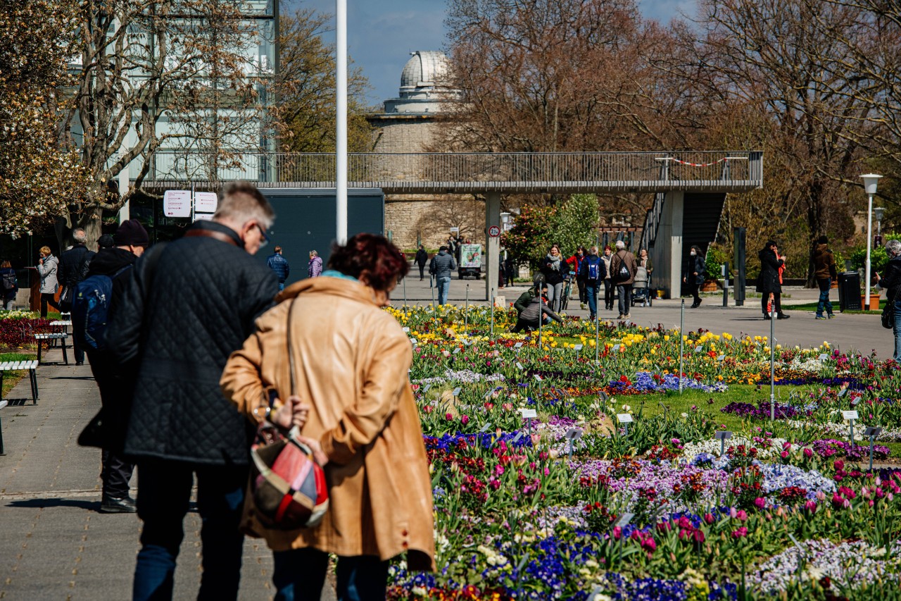 Um die Blumen zu bewundern und den Frühling zu genießen gab es am Wochenende im egapark Erfurt einen kleinen Ansturm an Interessenten.