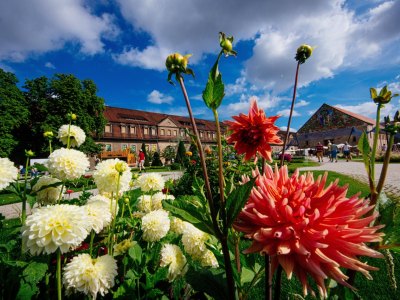 erfurt.jpg