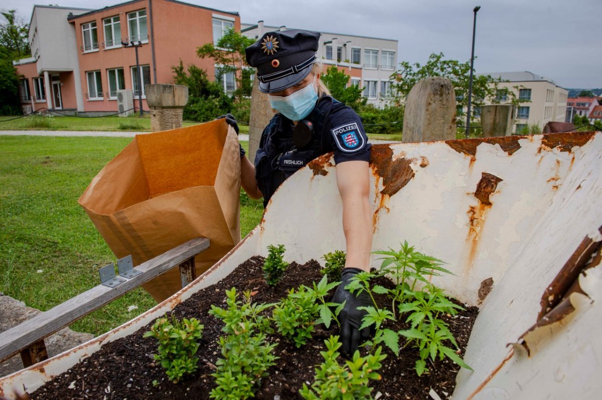 erfurt buga polizei hanf.jpg