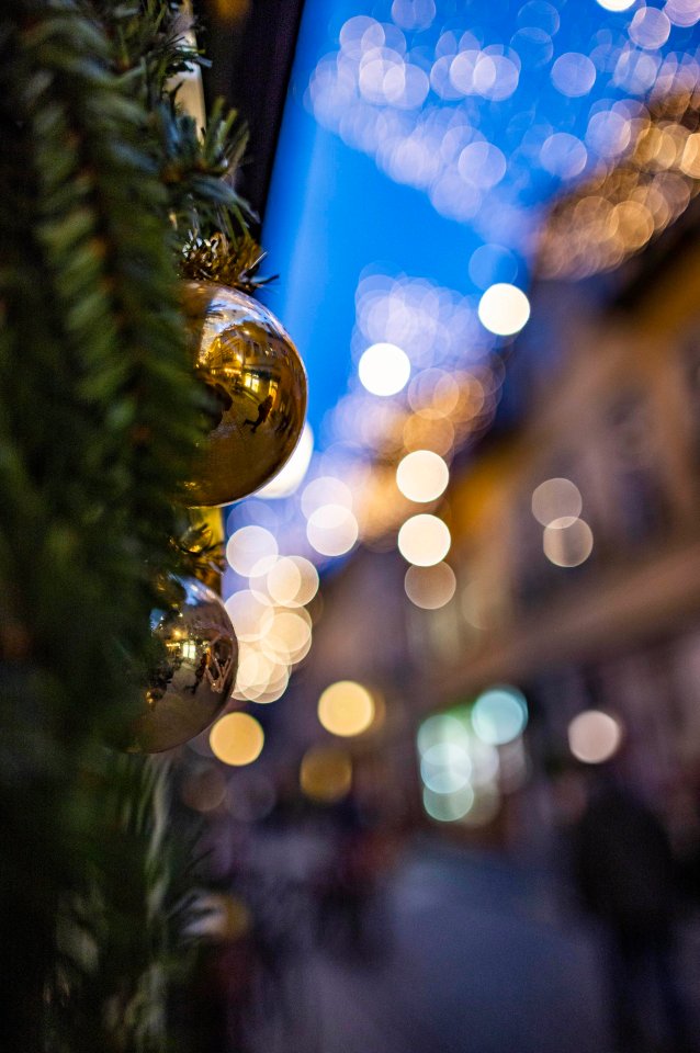 erfurt weihnachten weihnachtsmarkt adventsbeete