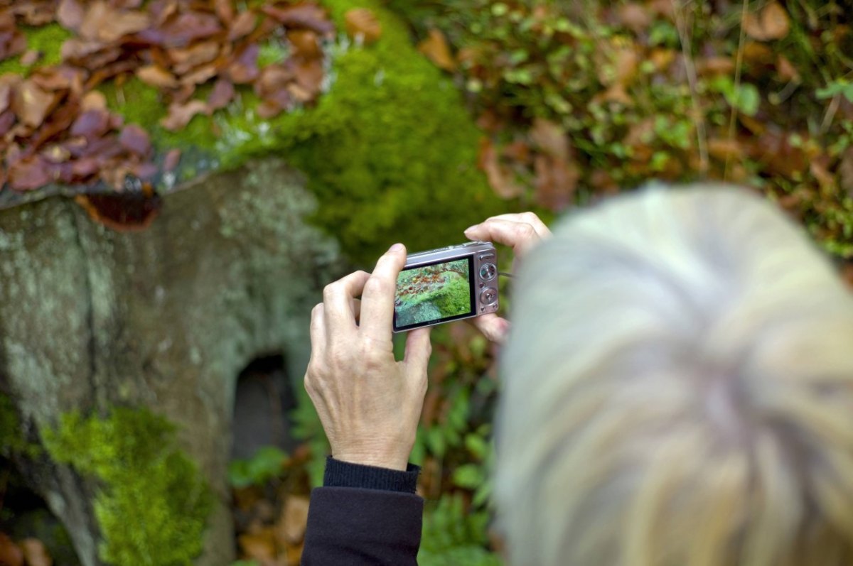 frau fotografiert wald steigerwald erfurt