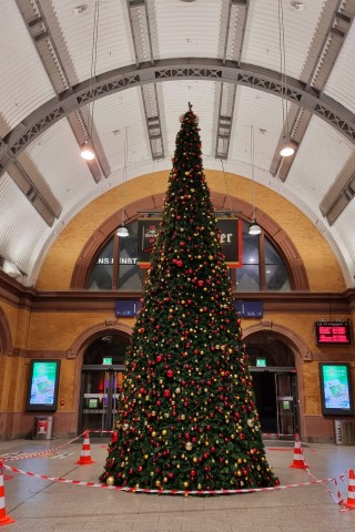 Dieser Weihnachtsbaum steht neuerdings im Hauptbahnhof Erfurt. Es ist nicht sein erster Auftritt hier.