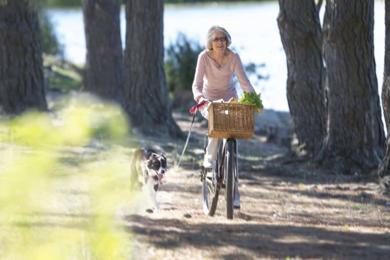 Radfahren mit Hund will geübt sein.