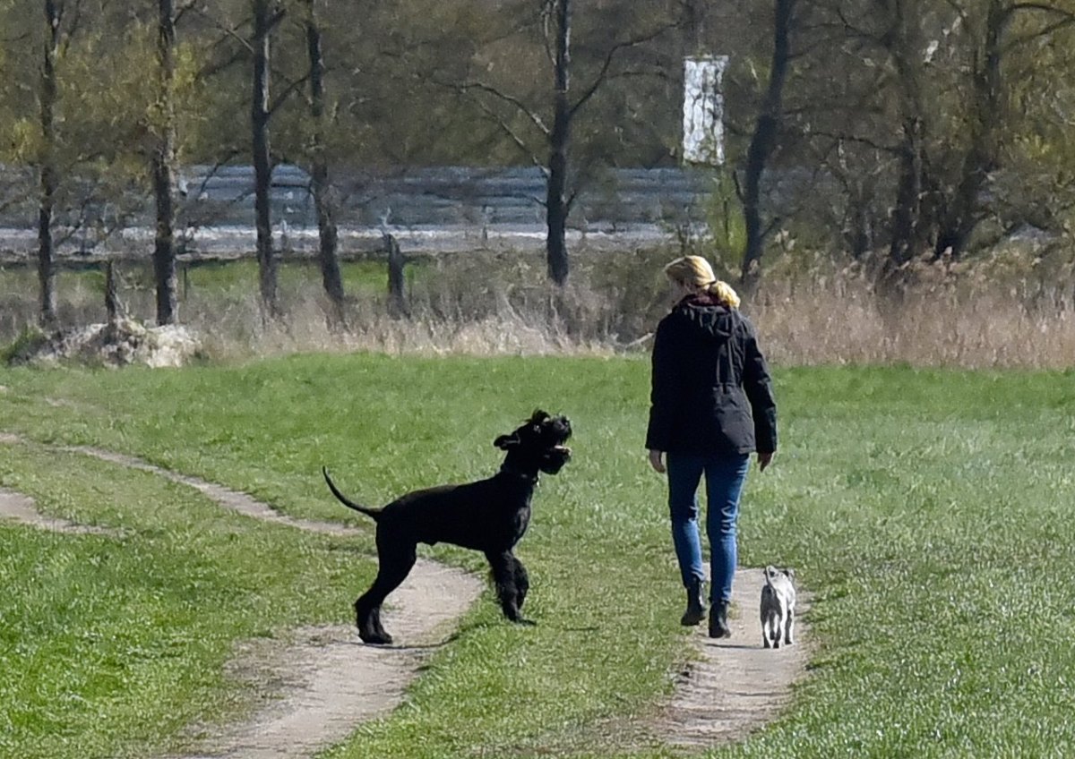 hund thüringen frau.jpg