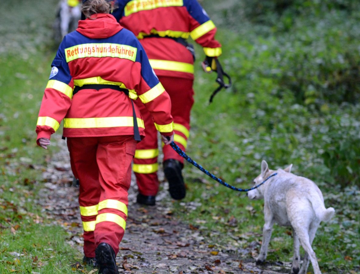 lauscha thüringen spürhund