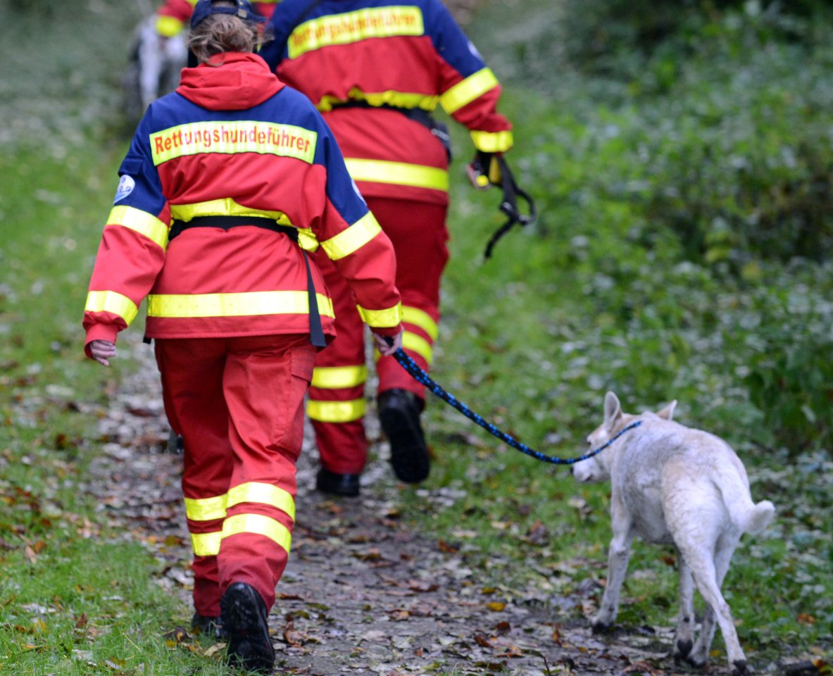 lauscha thüringen spürhund