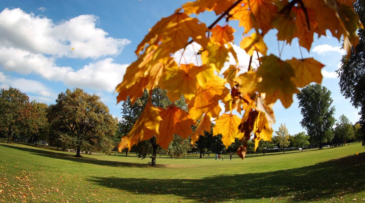 nordpark-erfurt