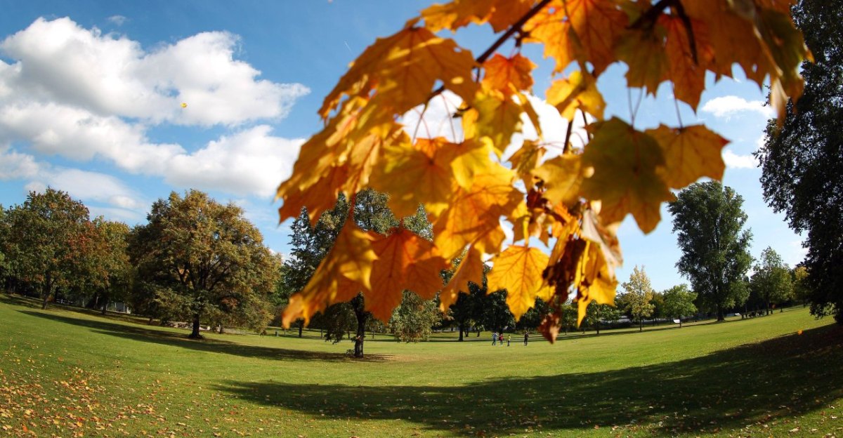 nordpark-erfurt