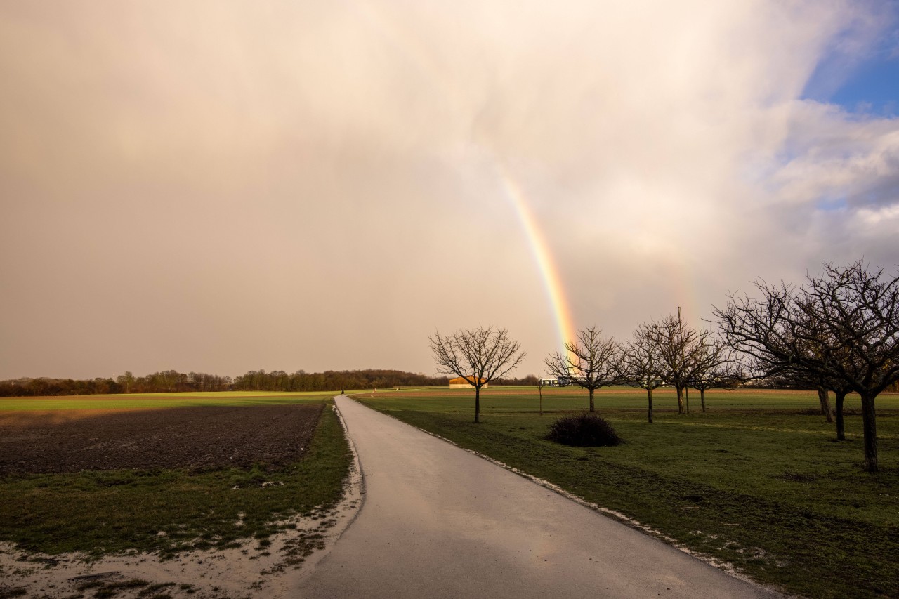 Wetter in Thüringen: Am Samstag löst sich der Regen auf. (Symbolbild)
