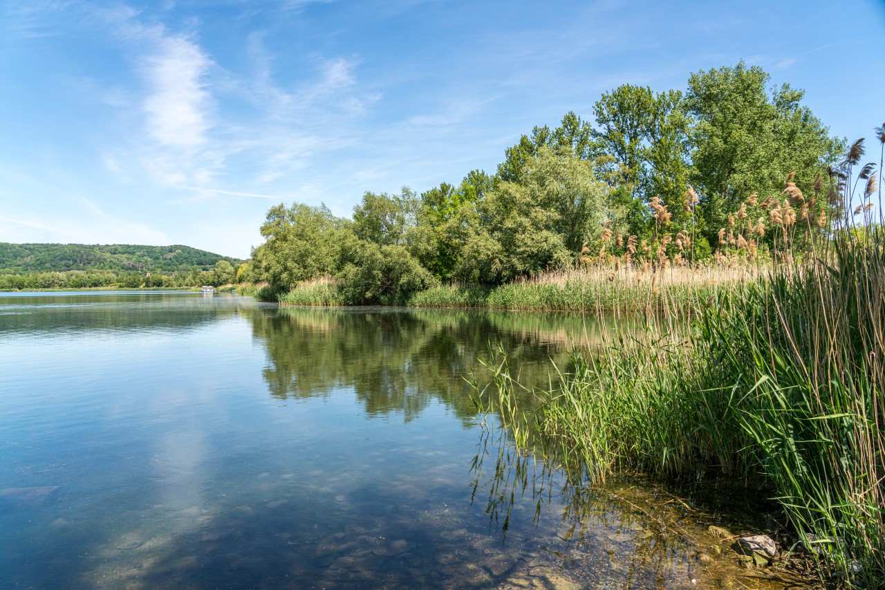 Der Werratalsee bei Eschwege – hier kam ein Mann aus Sömmerda (Thüringen) ums Leben. (Archivbild)