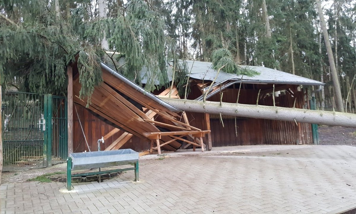 sturm-tierpark-gera.jpg