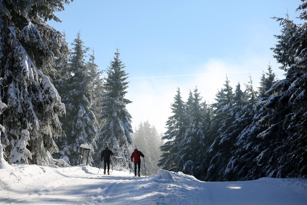 Thüringer Wald: Skilanglauf ist in diesem Januar bislang nicht drin. Das Archivbild aus dem Jahr 2019 zeigt, wie schön es sein könnte. 