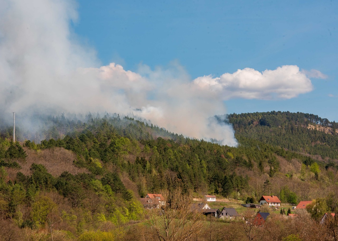 Bei Plaue im Ilm-Kreis  in Thüringen ist am Mittwoch (24.04.2019) ein Waldbrand ausgebrochen.