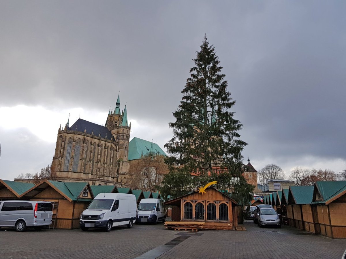weihnachtsbaum-weihnachtsmarkt-erfurt-rupfi