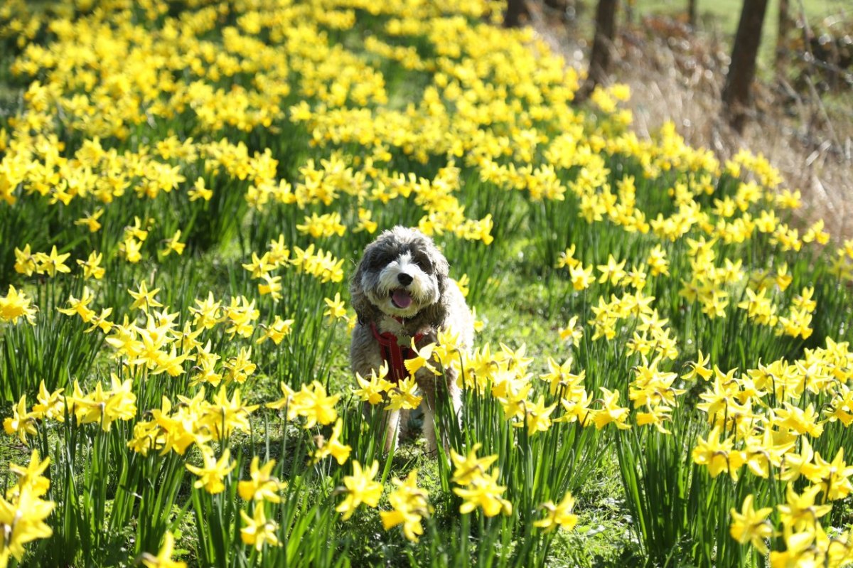 wetter thüringen frühling.jpg