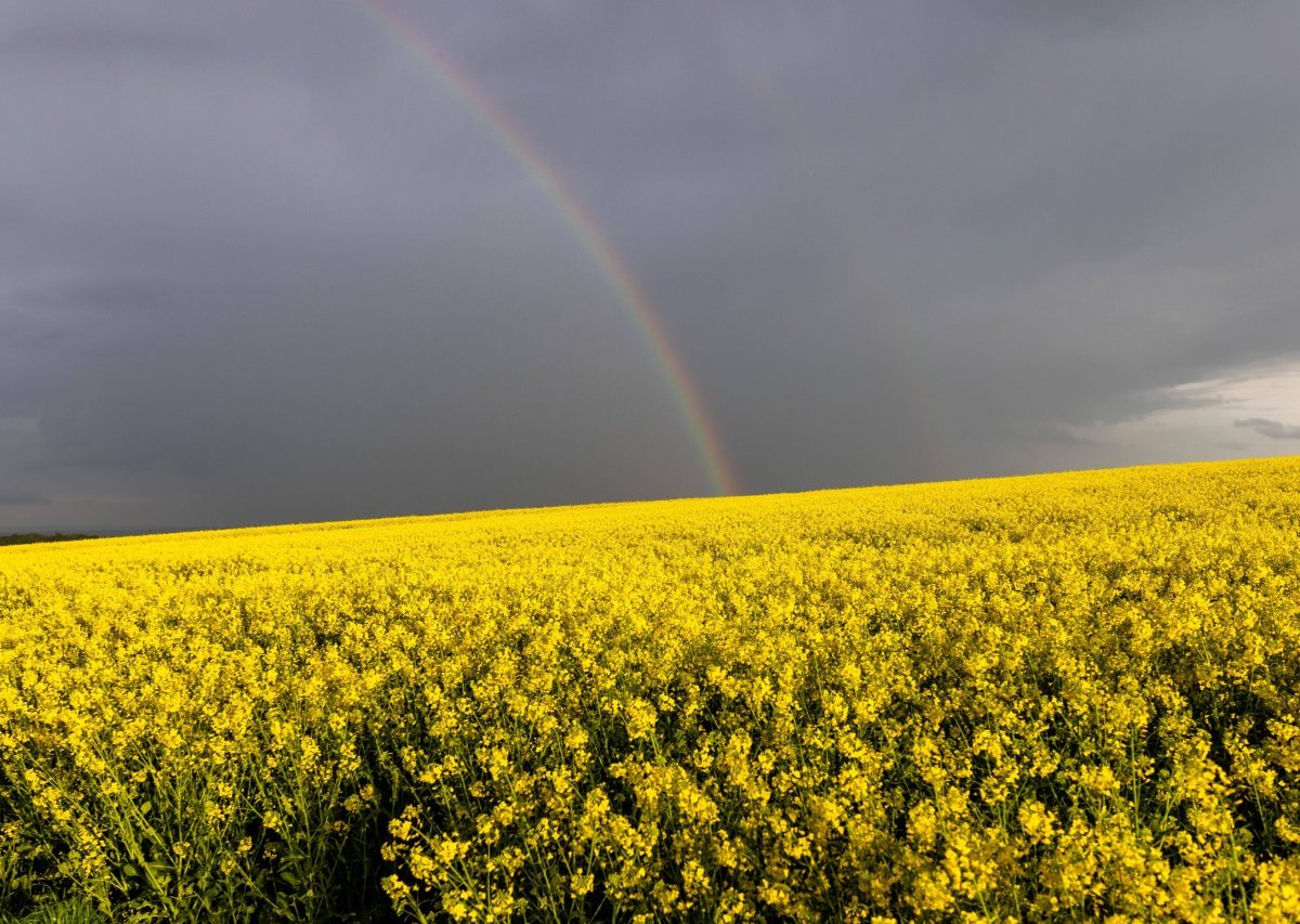 wetter thüringen pfingsten.jpg