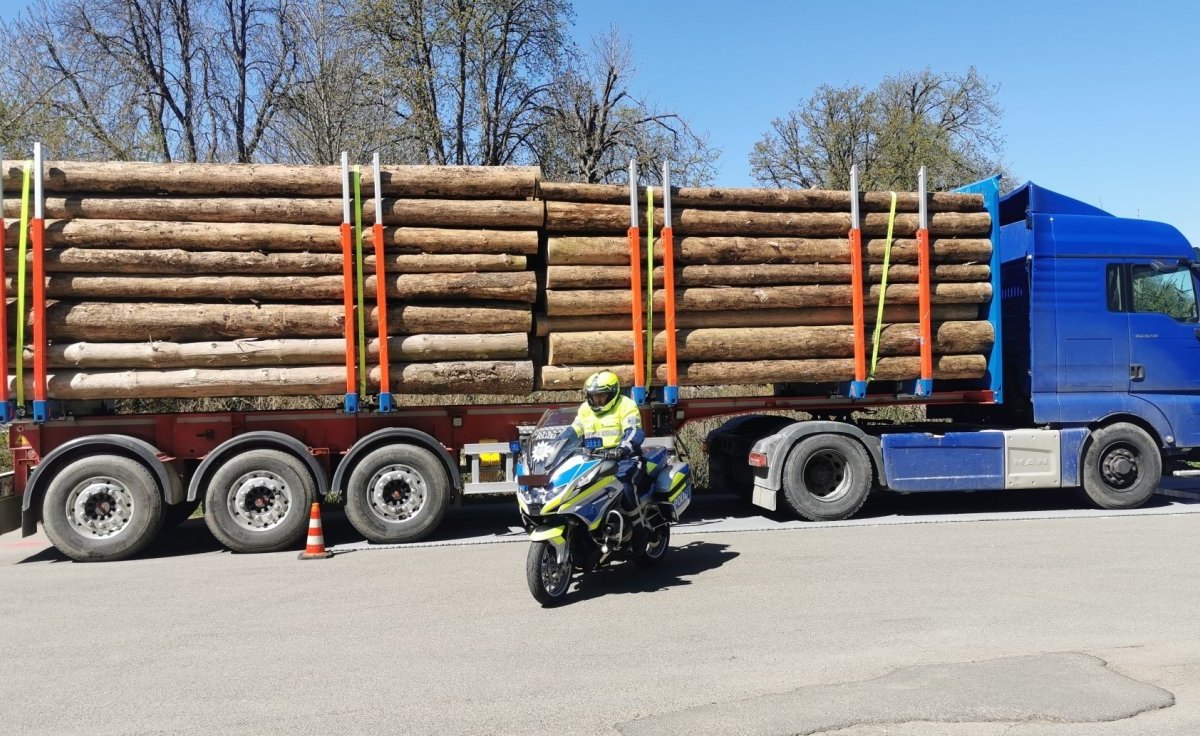 Nordhausen Lkw Holz