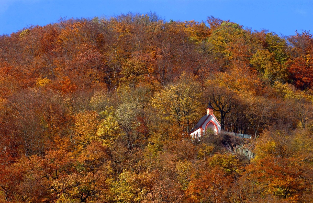 Tief im Thüringer Wald versteckt kannst du die Otillenkapelle besichtigen. (Archivbild)
