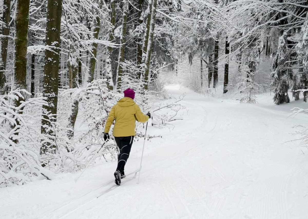 Thüringer Wald schnee winter
