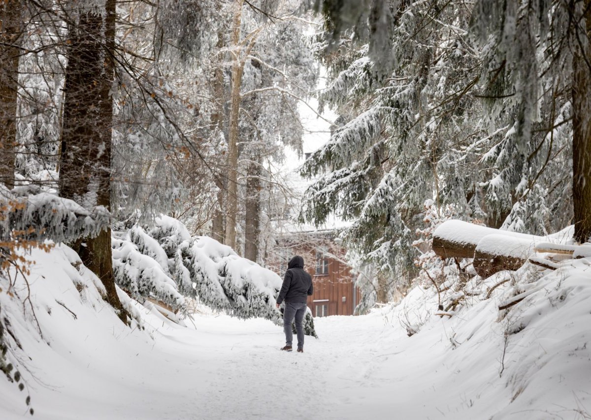 Wetter in Thüringen.jpg