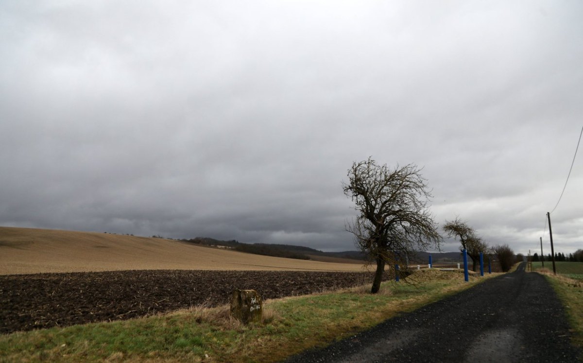 Wetter in Thüringen