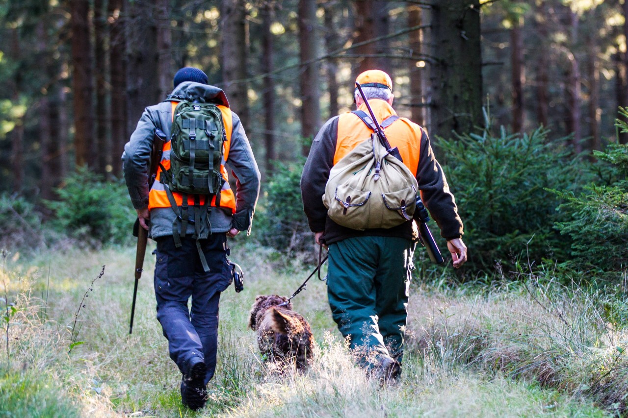 In Thüringen verbringen immer mehr Menschen ihre Freizeit bei der Jagd. (Archivbild) 