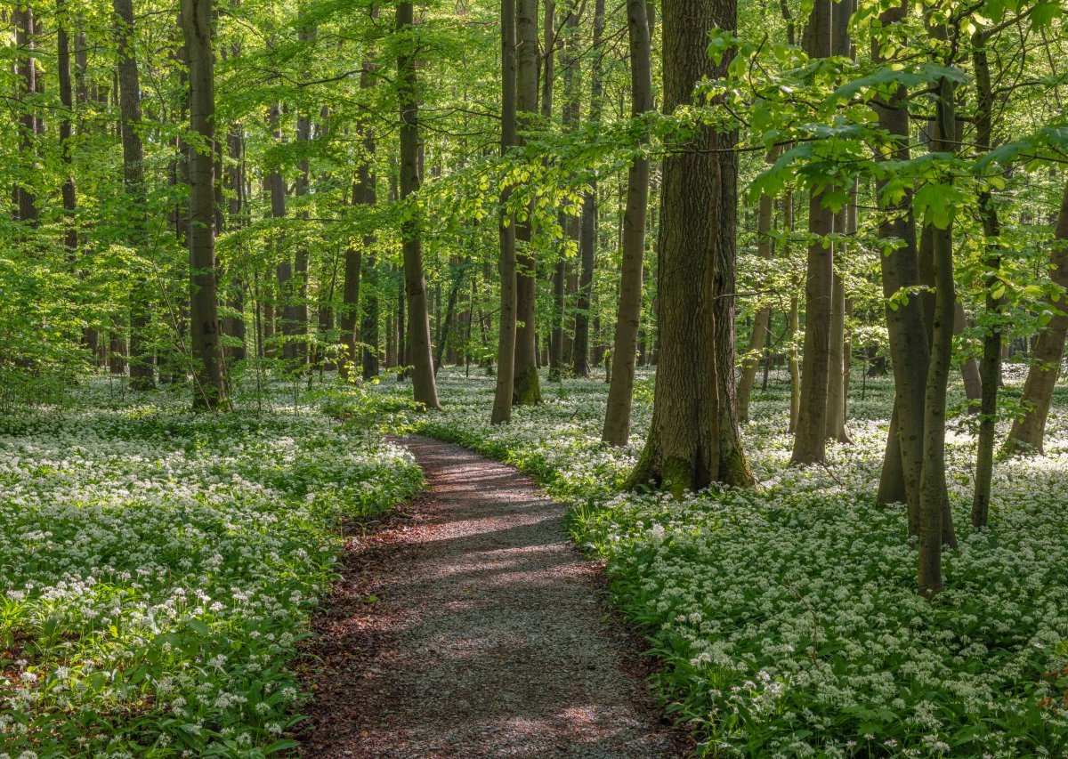 Thüringen