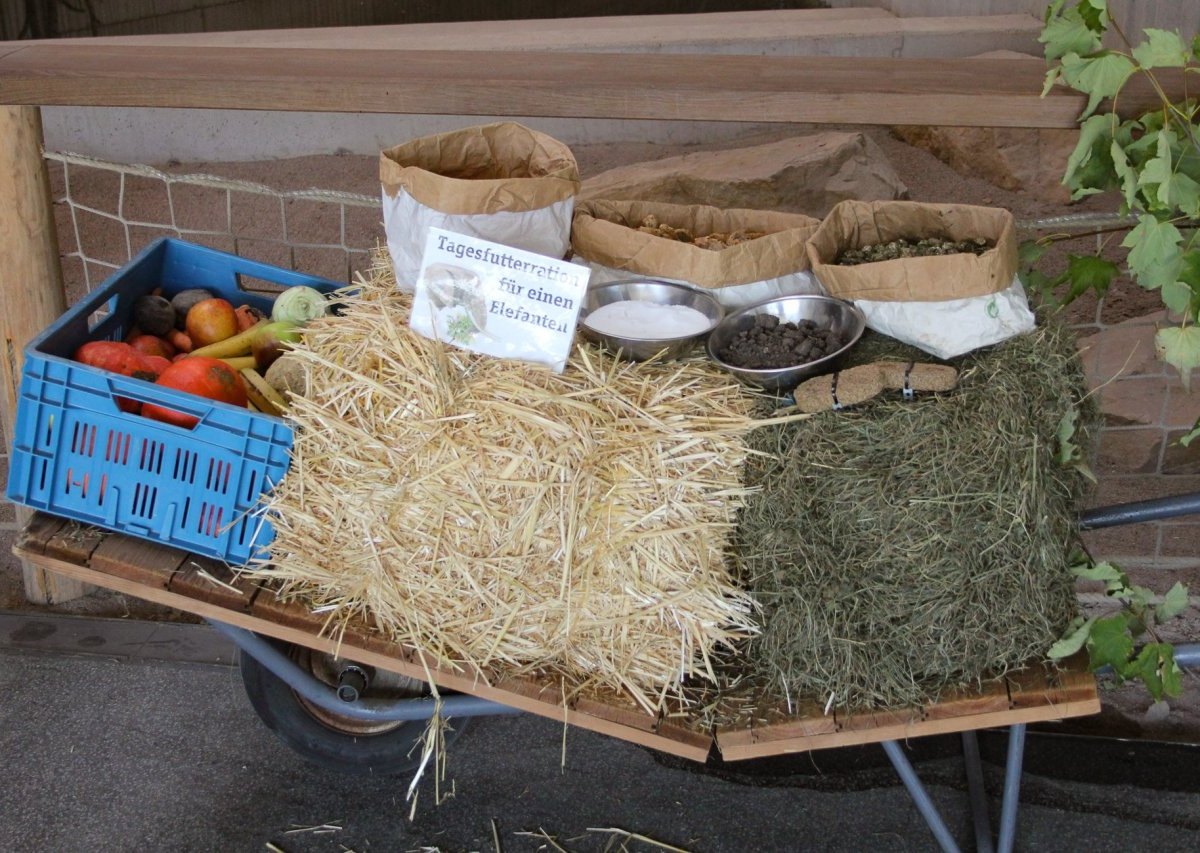 Zoo Erfurt Tagesration.jpg