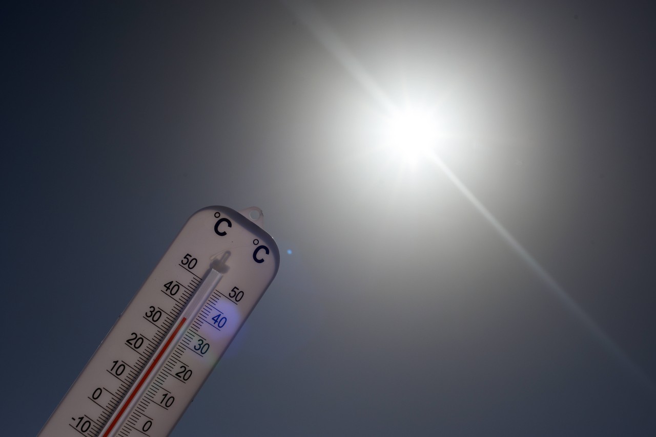 Das Wetter in Thüringen zeigt sich am Wochenende von seiner besten Seite – es wird richtig heiß! Doch das bringt auch eine Gefahr mit sich, warnt die Feuerwehr. (Symbolbild)