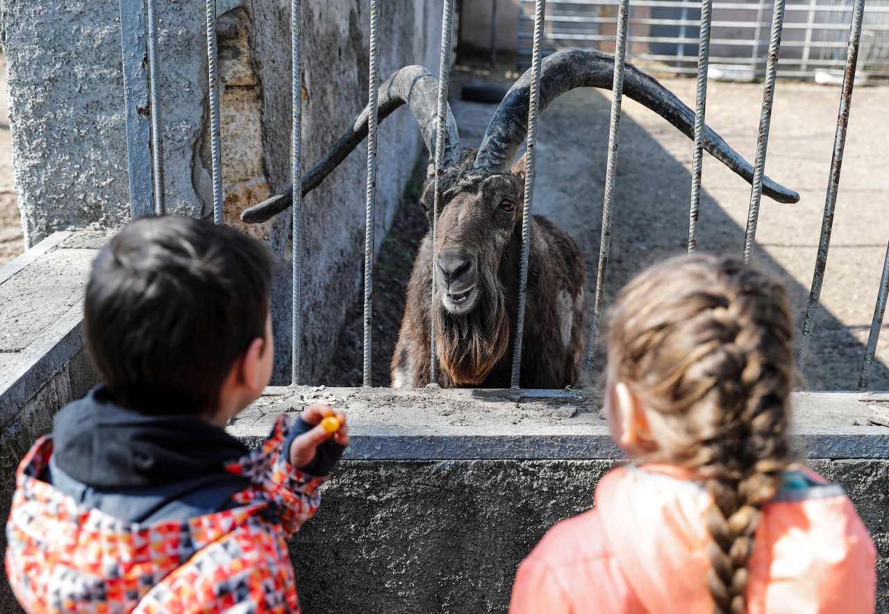 Auf die Kinder in Erfurt wartet im Zoo eine ganz besondere Überraschung. (Archivbild)