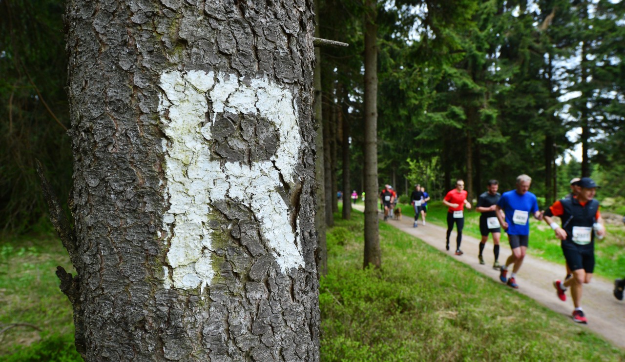 Beim Rennsteiglauf in Thüringen hat sich ein Teilnehmer so richtig verlaufen. (Symbolbild)