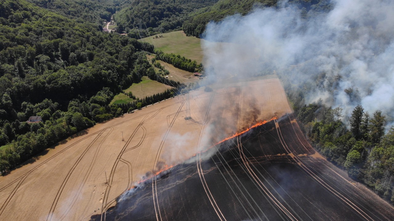 Das Feuer brach erst auf einem Feld im Kreis Nordhausen aus und ging dann schnell in den Wald über. 