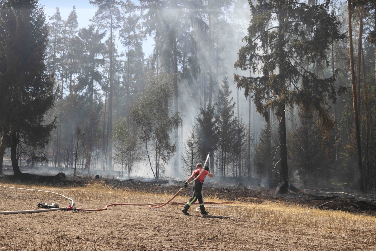 Schon wieder brennt ein Wald in Thüringen! Mehrere Feuerwehren bekämpfen die Flammen. 