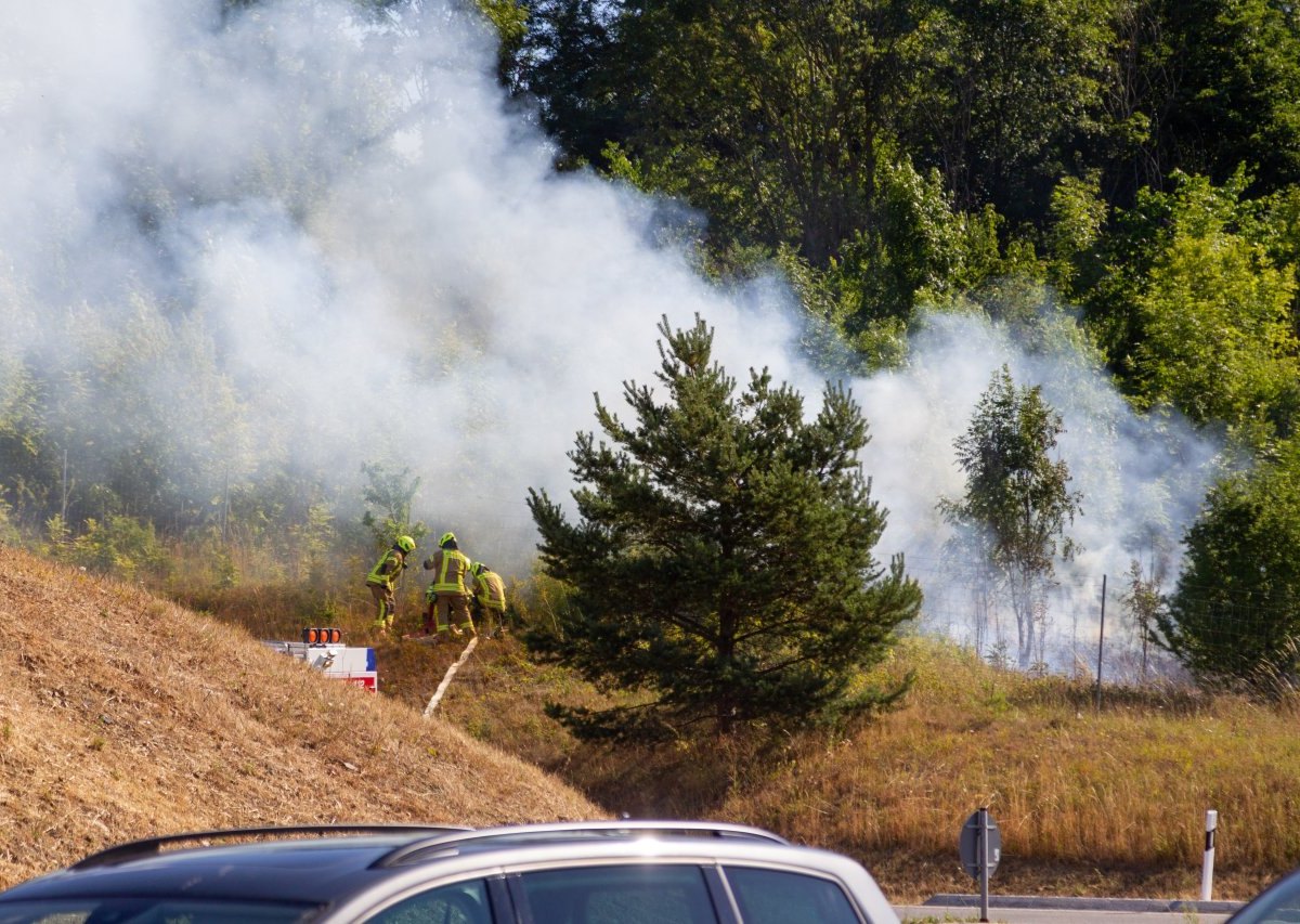 A73 Thüringen.jpg