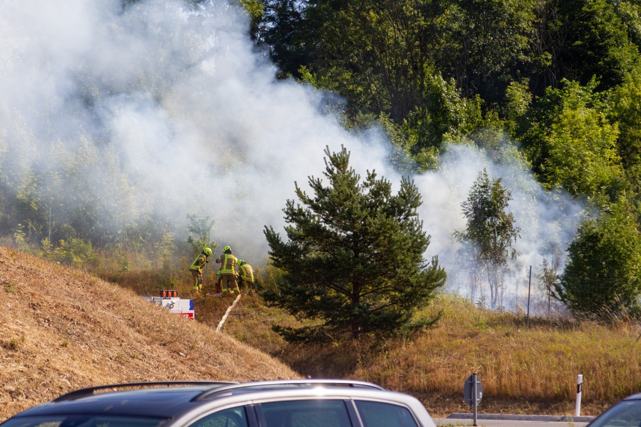 Tausende Quadratmeter brannten am Sonntagmorgen an der A73 in Thüringen! 