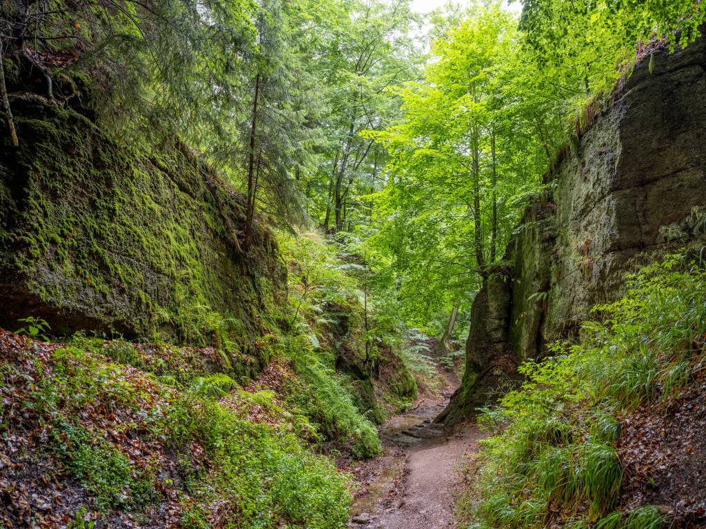 Drachenschlucht in Eisenach Thüringen