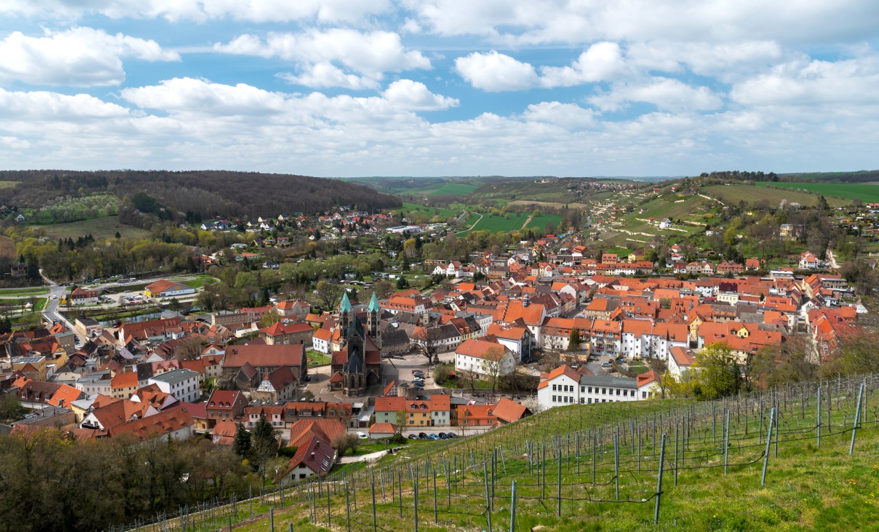 Die Region an Saale und Unstrut in Thüringen ist für ihre 1000-jährige Tradition im Weinbau bekannt.