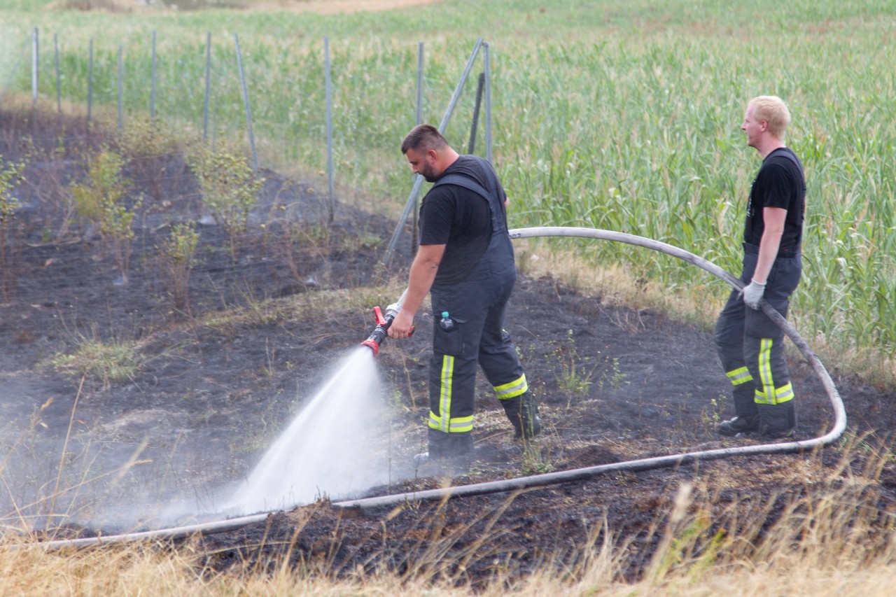 Die Feuerwehr konnte den Flächenbrand im Kreis Sonneberg (Thüringen) schnell unter Kontrolle bringen.