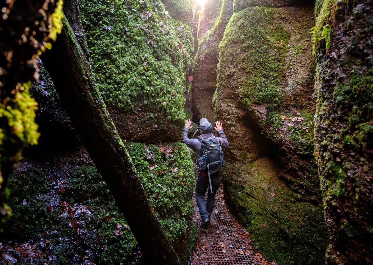 thüringer wald drachenschlucht.jpg