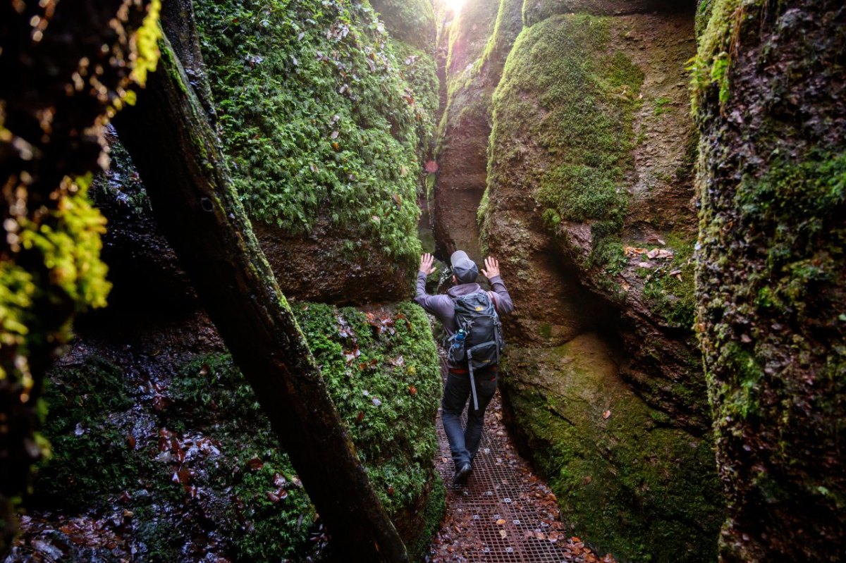 thüringer wald drachenschlucht.jpg