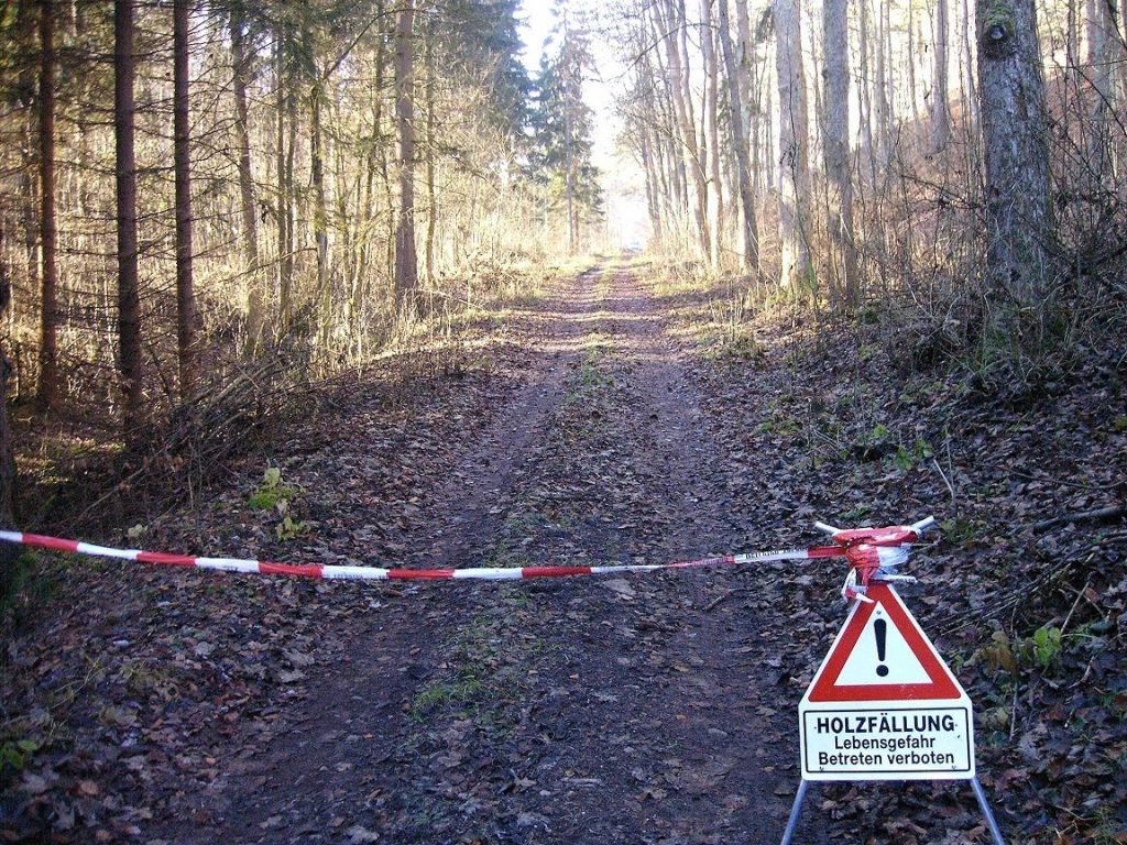 Blick auf einen abgesperrten Weg im Thüringer Wald