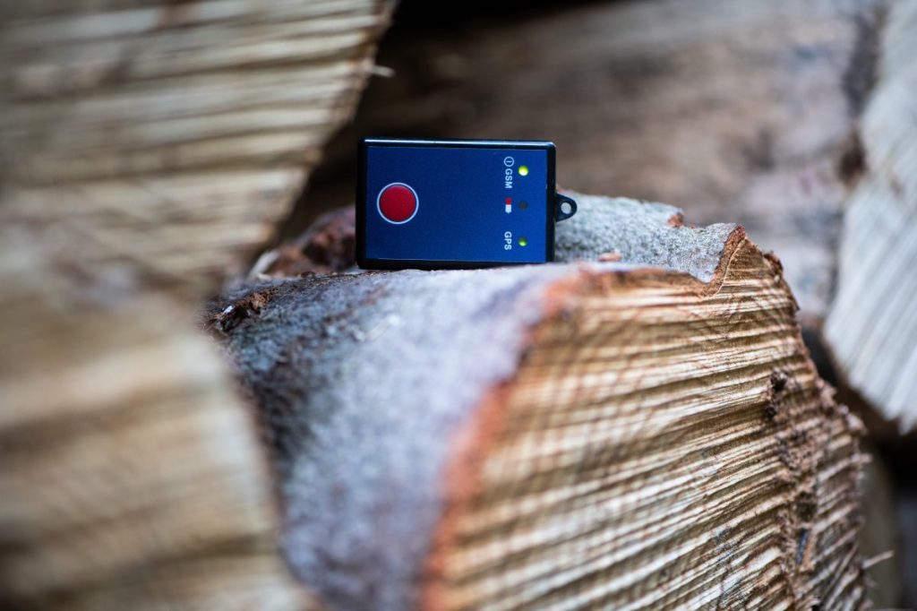 Ein GPS-Sender für Holzbestände steht auf einem Buchenholzstamm.