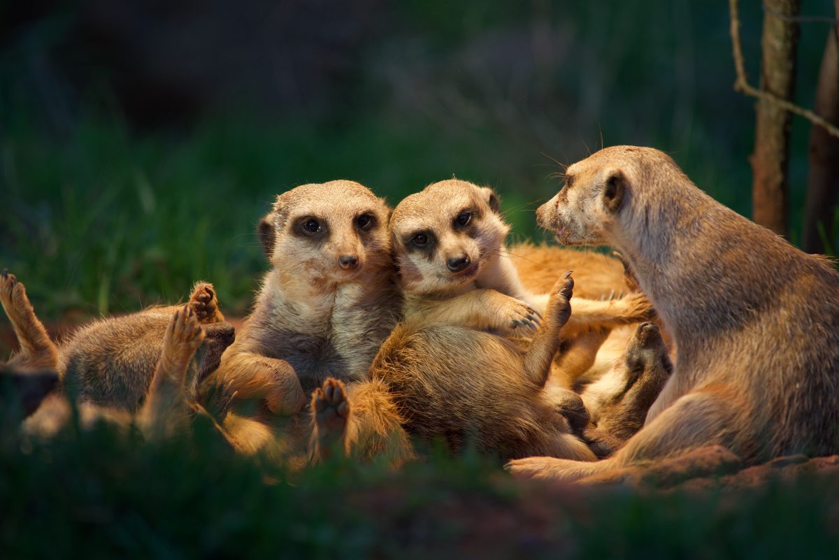 Zoo Erfurt