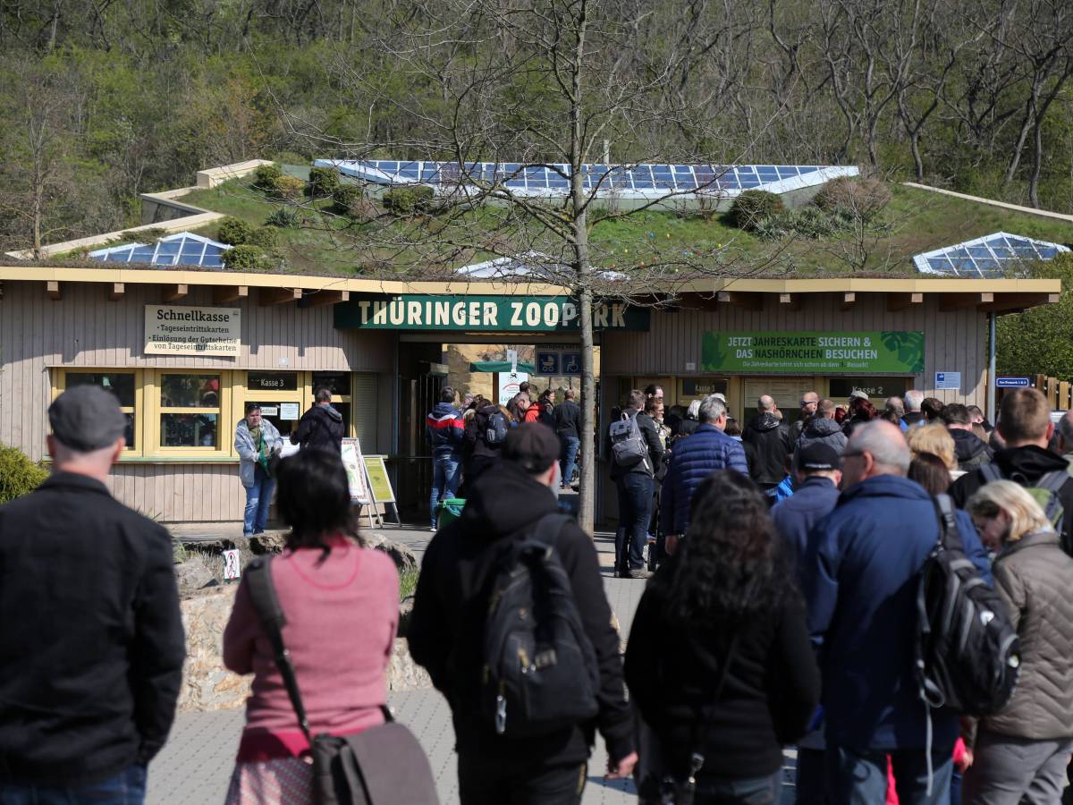 Zoo Erfurt startet neue Aktion – doch eine Sache stößt einigen Besuchern auf