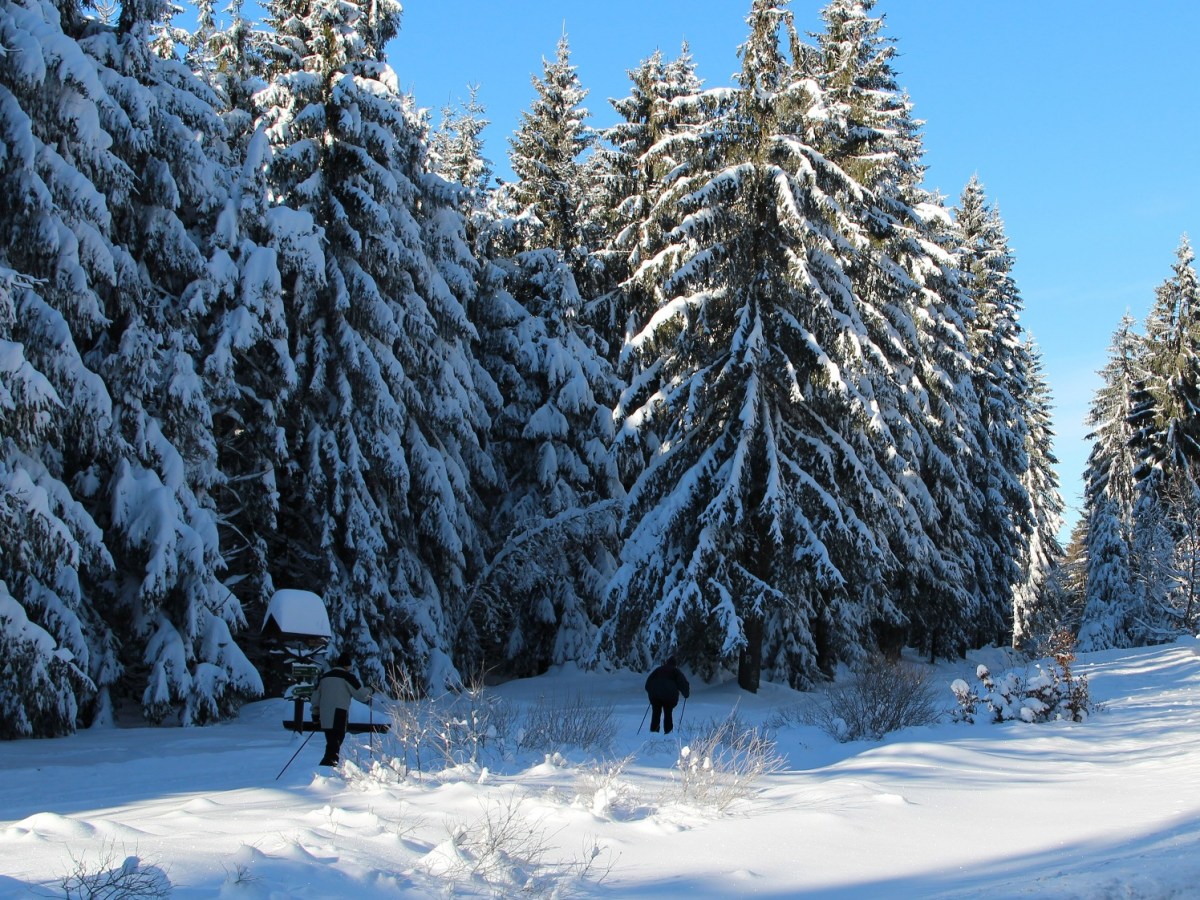 Thüringer Wald startet in Ski-Saison – eine Sache könnte IHNEN das Leben kosten